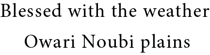 Blessed with the weather Owari Noubi plains